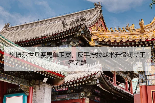 fan-zhen-dong-shi-ping-sai-nan-dan-wei-mian-fan-shou-ning-la-zhan-shu-sheng-ji-zhu-jiu-wang-zhe-zhi-lu-2-877.jpg