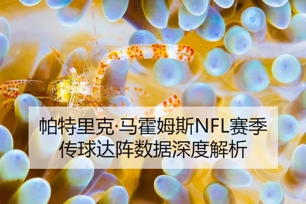 帕特里克·马霍姆斯NFL赛季传球达阵数据深度解析