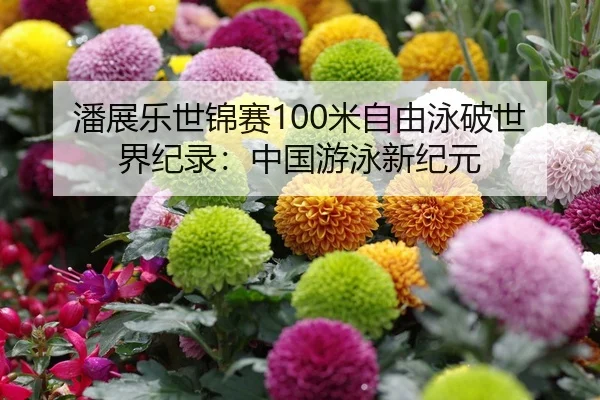潘展乐世锦赛100米自由泳破世界纪录：中国游泳新纪元